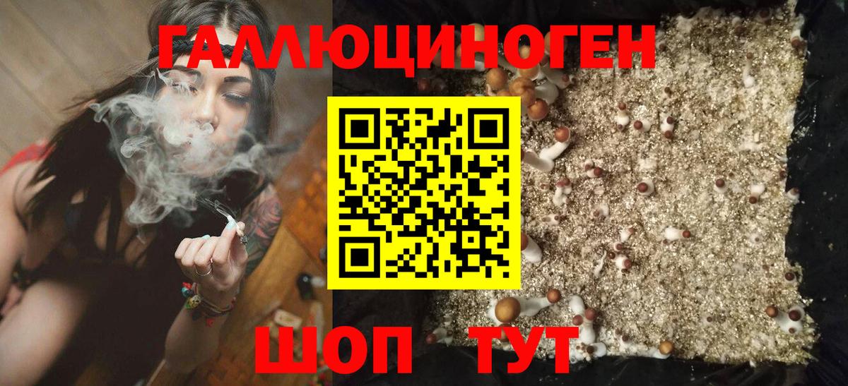 Великий Новгород  Псилоцибиновые грибы GOLDEN TEACHER  Вход с VPN 