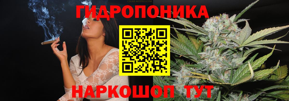 Марихуана марихуана  Каннабис индика  Бошки Шишки AK-47  Бошки марихуана SATIVA & INDICA  Великий Новгород  Вход с VPN 