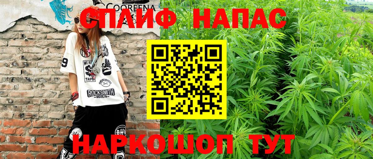 Канабис семена Великий Новгород